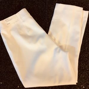 NWT Ann Taylor Ladies Lined Slacks, Size 10